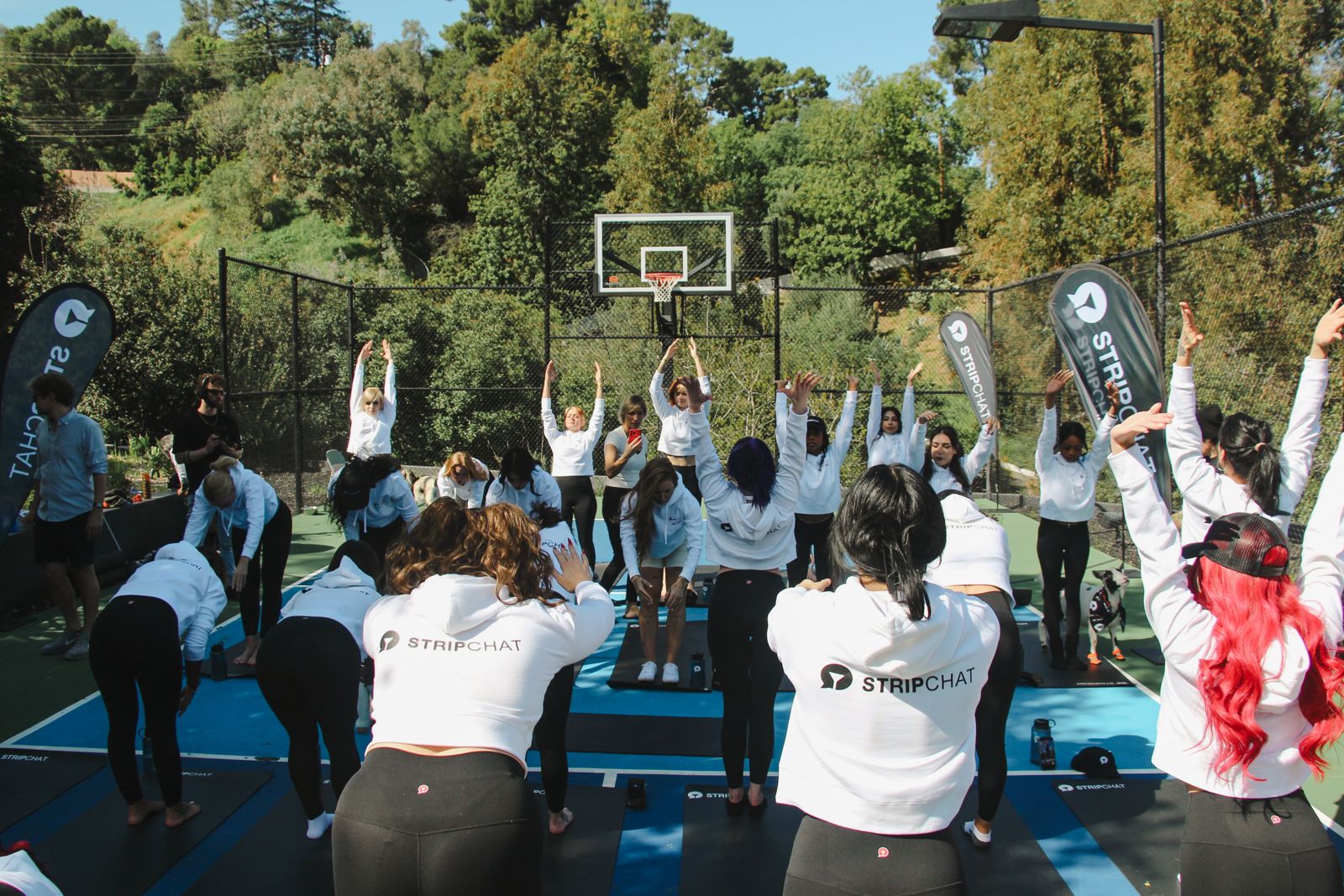 Goat yoga session on the pickleball court at the SC House Hollywood, goats climbing on cast members' backs
