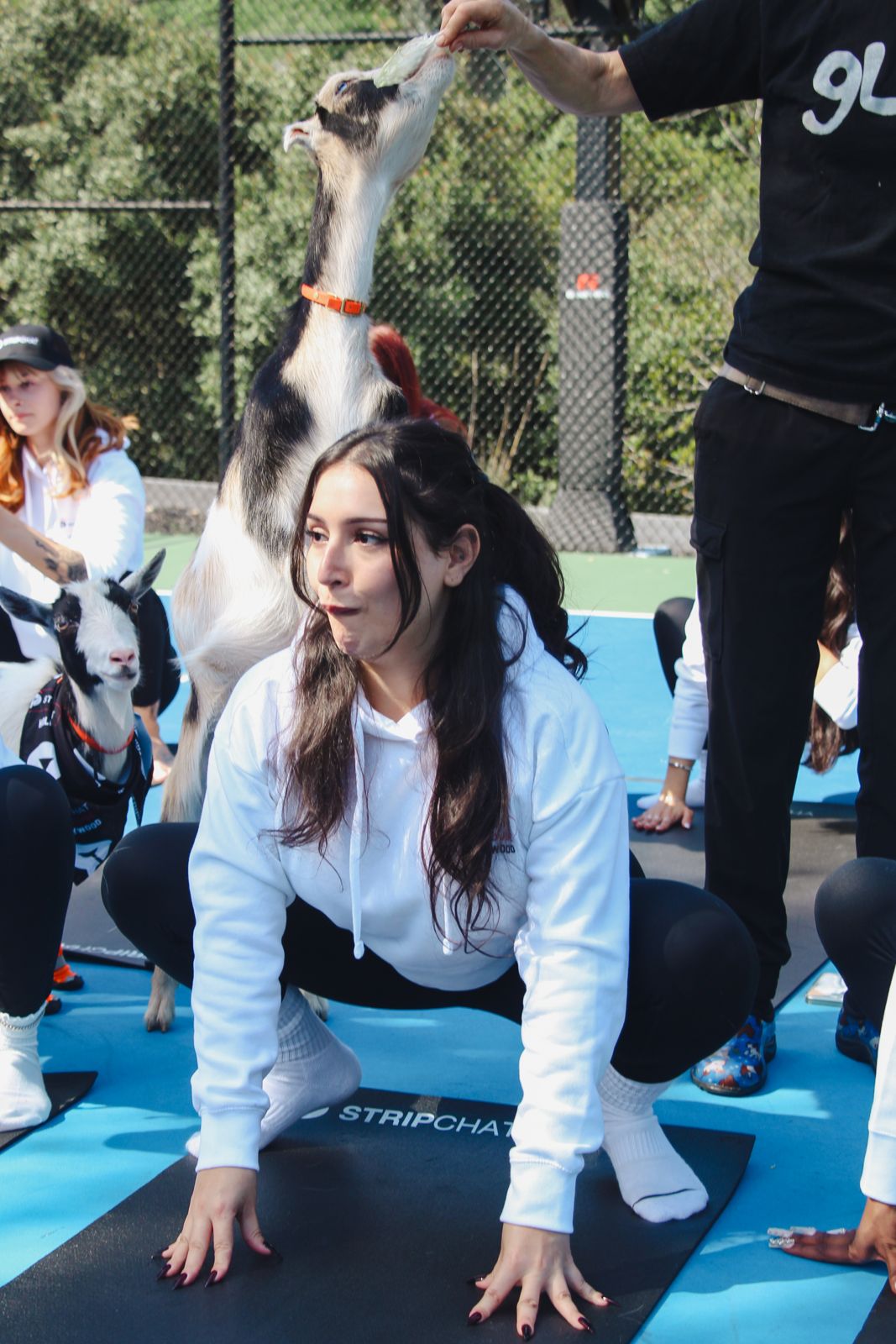 Goat yoga session on the pickleball court at the SC House Hollywood, goats climbing on cast members' backs