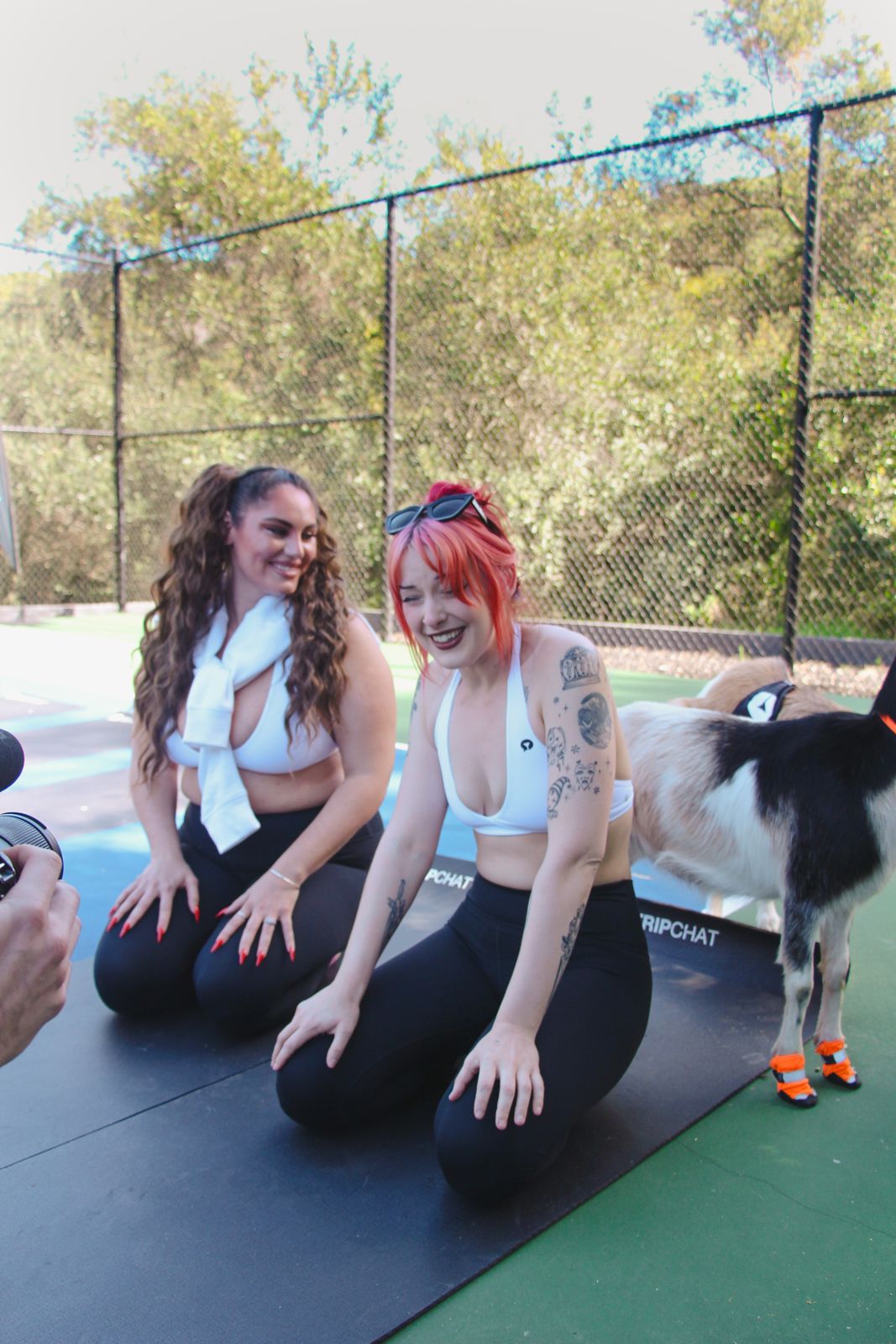 Goat yoga session on the pickleball court at the SC House Hollywood, goats climbing on cast members' backs