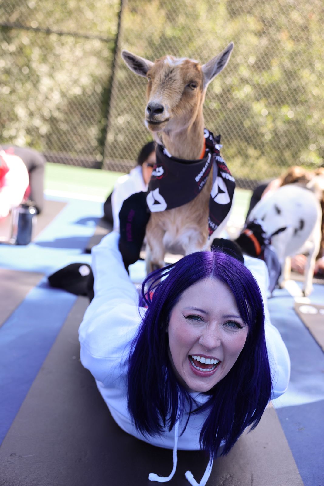 Goat yoga session on the pickleball court at the SC House Hollywood, goats climbing on cast members' backs