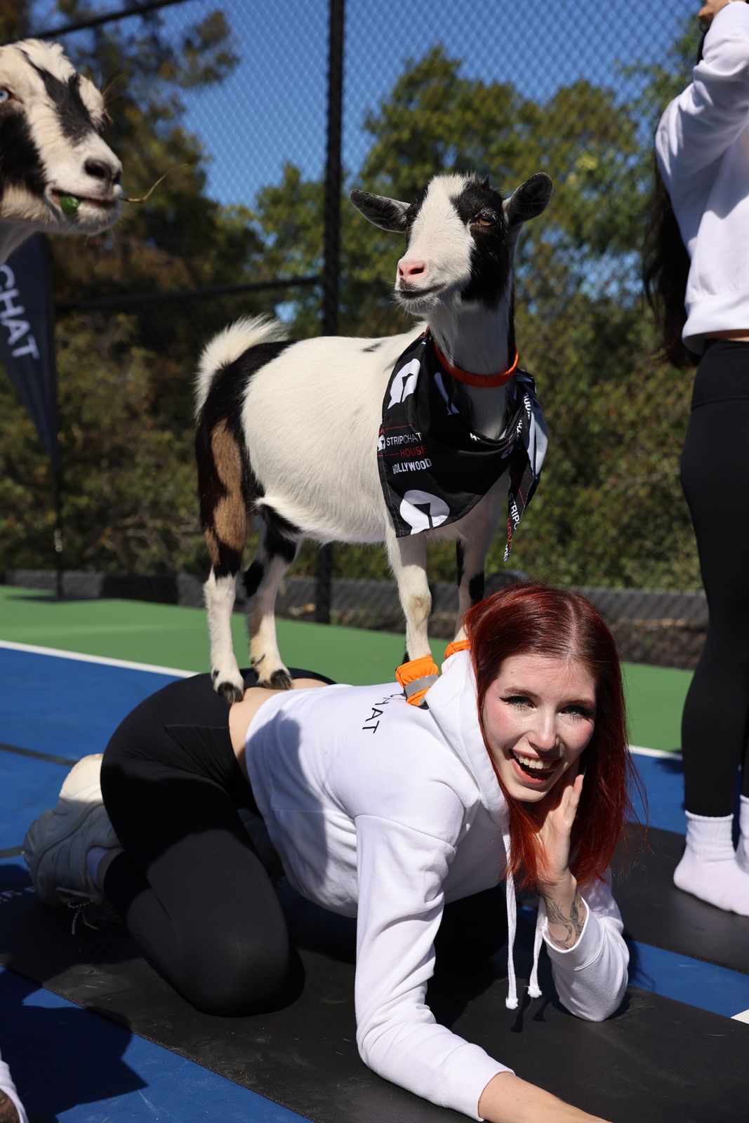 Goat yoga session on the pickleball court at the SC House Hollywood, goats climbing on cast members' backs