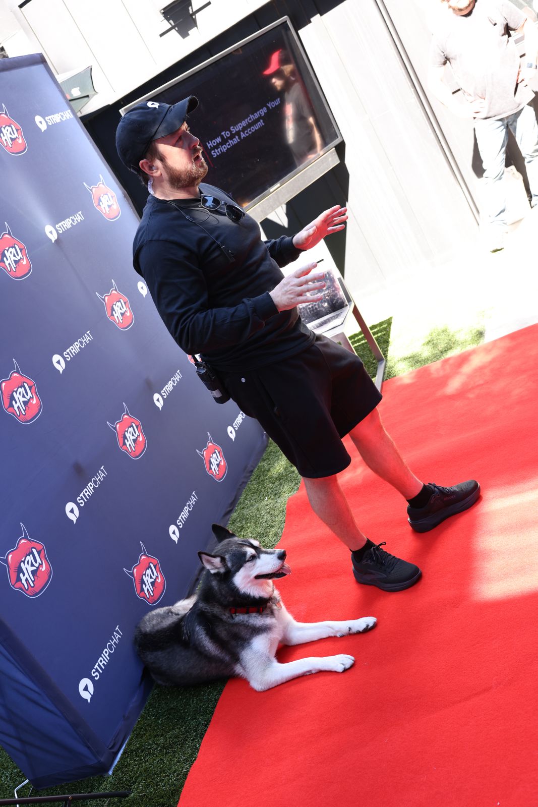 The house husky makes an appearance on the red carpet at the SC House Hollywood